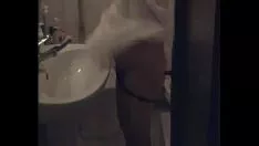 Reproducir Rosalinda repasa el bulto de gatito-gato 2