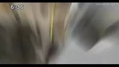 Jouer Pelea a muerte entre 2 chats