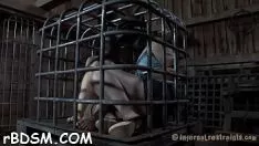 Jouer Sadomasochismo porno