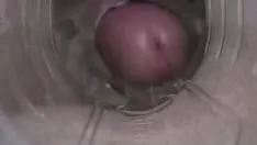 Reproducir Antorcha rapidito 04