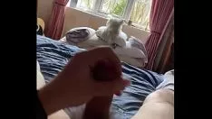 Reproducir Gran semen
